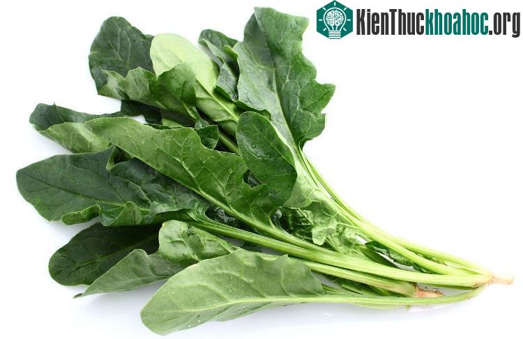 Rau chân vịt là loại rau tốt cho trí não, bởi hàm lượng vitamin A, C, B1 và B2 cao.