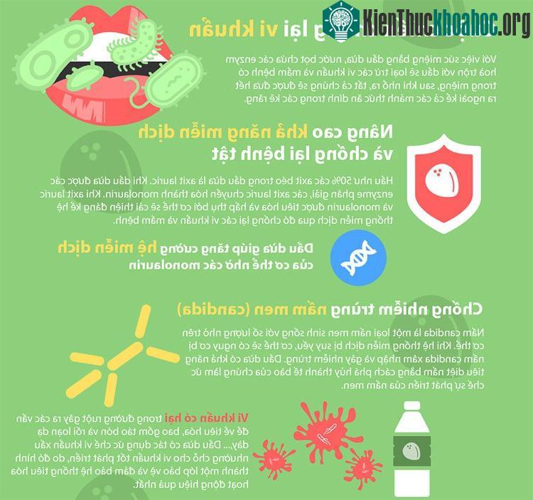 Dầu dừa giúp tăng cường hệ miễn dịch của cơ thể nhờ các monolaurin.