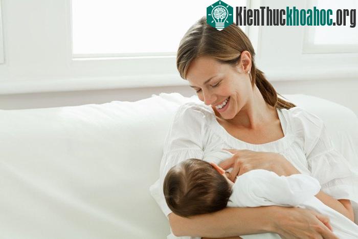 Phụ nữ có thai và cho con bú không nên dùng cam thảo