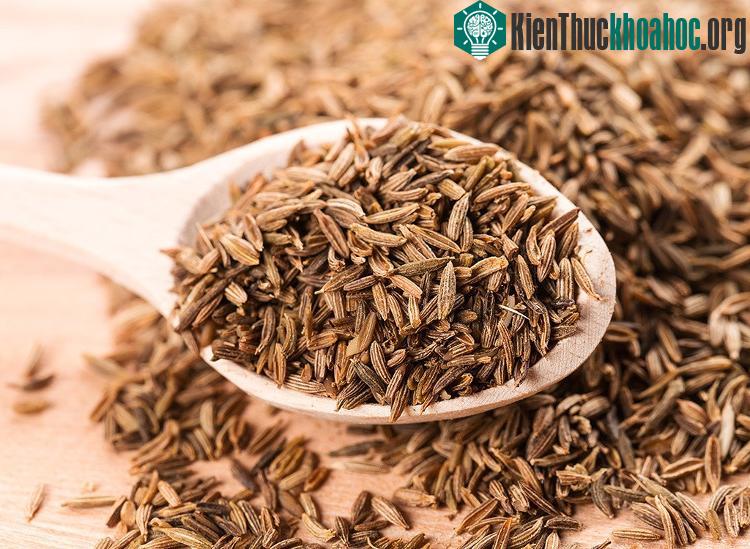 Thì là Ai Cập giúp tăng nhiệt độ cơ thể bạn trong một mức độ nhẹ mà không gây ra đổ mồ hôi.