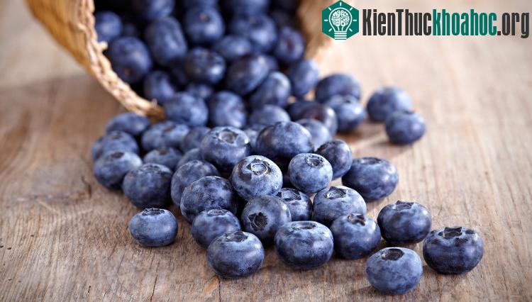 Việt quất giúp kích thích tế bào não phát triển, bảo vệ não chống lại hiện tượng oxy hóa, giảm căng thẳng.