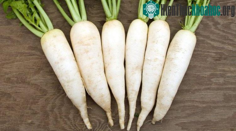 Rau củ màu trắng chứa nhiều flavonoid giúp bảo vệ màng tế bào trong cơ thể người.
