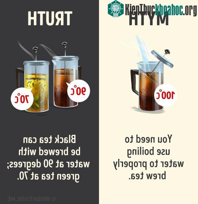 Trà phải pha bằng nước sôi 100 độ.