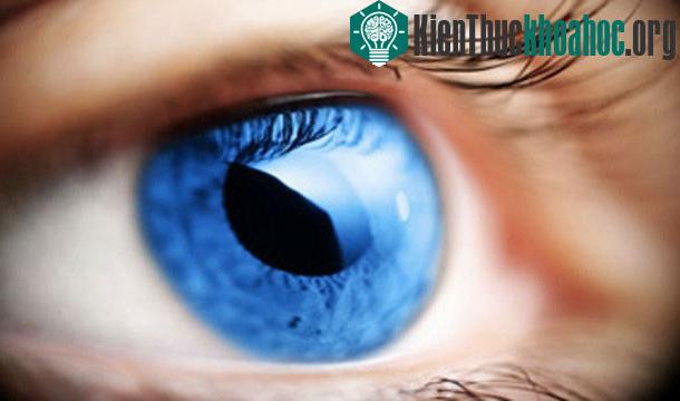 25 sự thật thú vị về trái tim của bạn