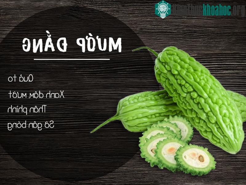 Mướp đắng.