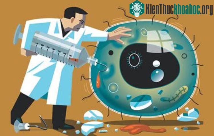 Chính chúng ta phải chịu phần trách nhiệm còn lại cho mỗi hành động lạm dụng và coi kháng sinh là những viên "thần dược".