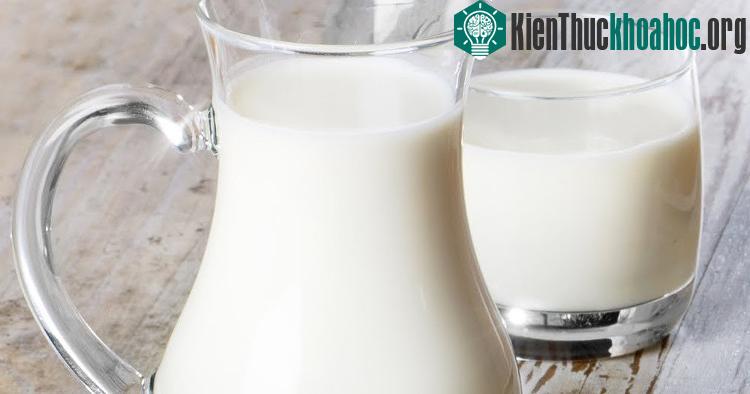 Sữa và các sản phẩm từ sữa.
