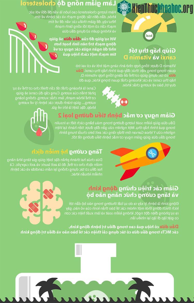 Dầu dừa có hiệu quả cao trong việc điều trị bệnh động kinh.