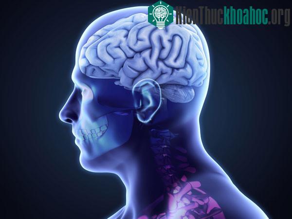 Điều gì xảy ra với cơ thể khi bạn ôm ai đó ảnh 4