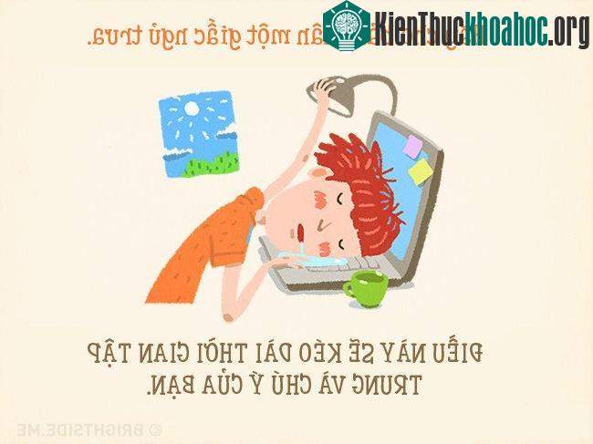 Giấc ngủ trưa ngắn giúp tập trung tốt hơn.