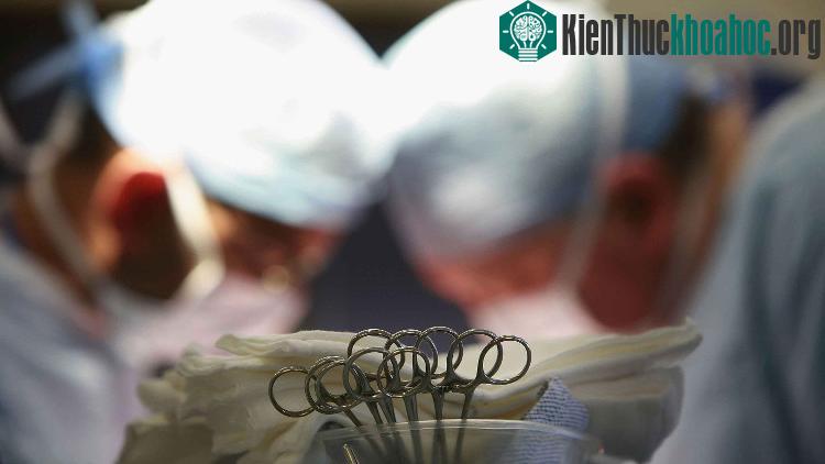 Chúng ta luôn cần đến kháng sinh để giúp người bệnh sống sót sau cấy ghép.