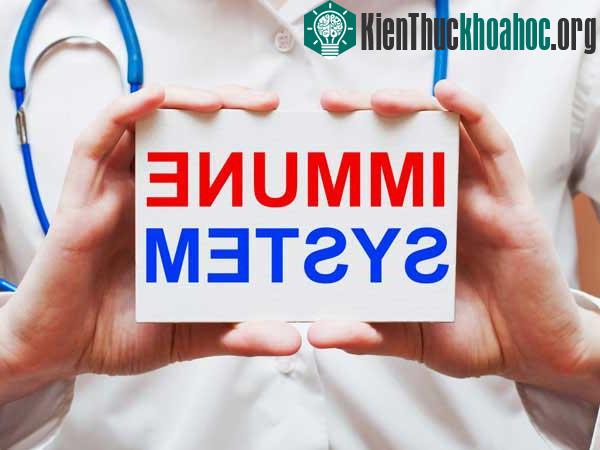 Điều gì xảy ra với cơ thể khi bạn ôm ai đó ảnh 5