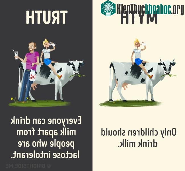 Chỉ có trẻ con mới nên uống sữa