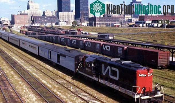 25 sự thật thú vị về trái tim của bạn