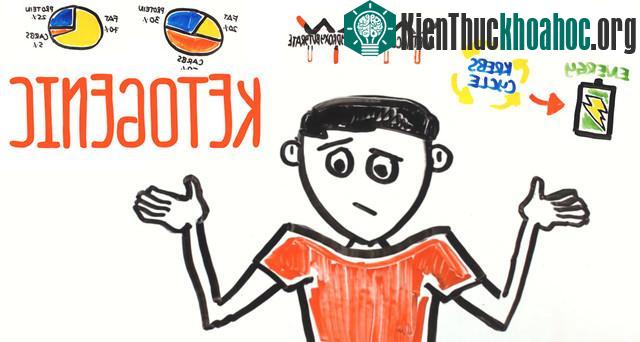 Rõ ràng xu hướng Ketogenic đang mang đến sự tò mò cho rất nhiều người.