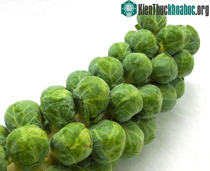 Vị đắng lạ miệng của cải brussel không chỉ mang hương vị đặc trưng mà còn có tác dụng làm ấm cơ thể khi trời trở rét.