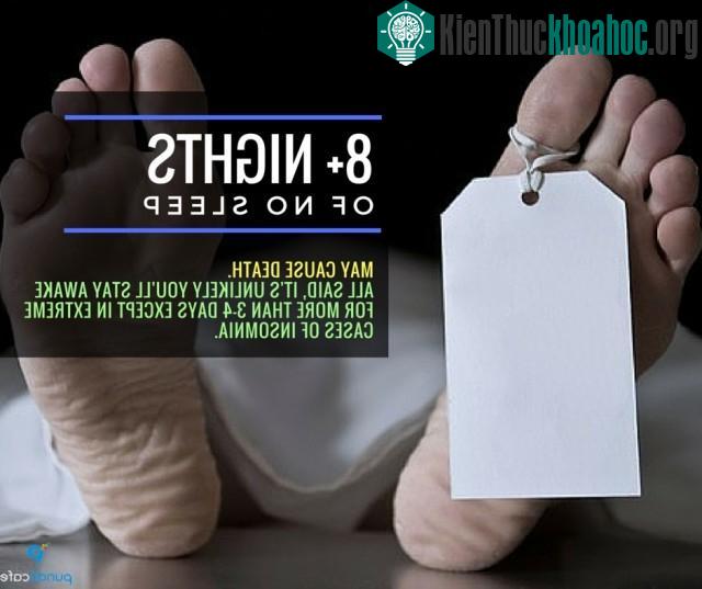 8 ngày không ngủ