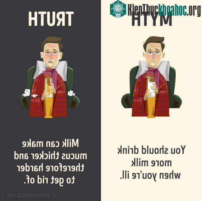 Bạn nên uống nhiều sữa hơn khi bị ốm.