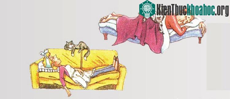 Không nên: Không ngủ hoặc nằm trên nệm quá mềm, hình võng hoặc không vững chắc.