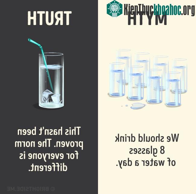 Chúng ta nên uống 8 ly nước mỗi ngày