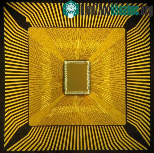 Chip vi mạch “điện toán nhận thức” được tạo ra dựa trên cảm hứng bộ não người. (Nguồn: Newscientist.com)