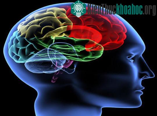 Mỹ nghiên cứu thiết bị kết nối não với máy móc ảnh 0