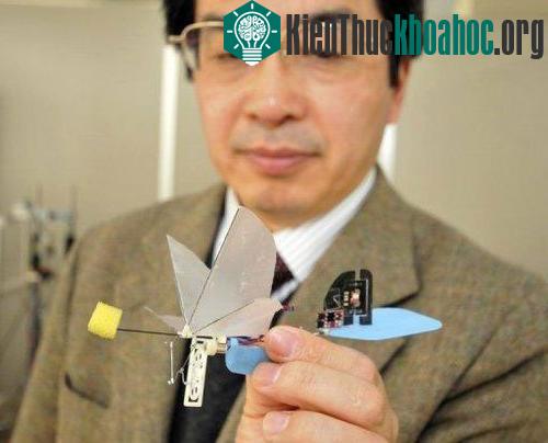 Nhật Bản giới thiệu 'robot chim ruồi' ảnh 0