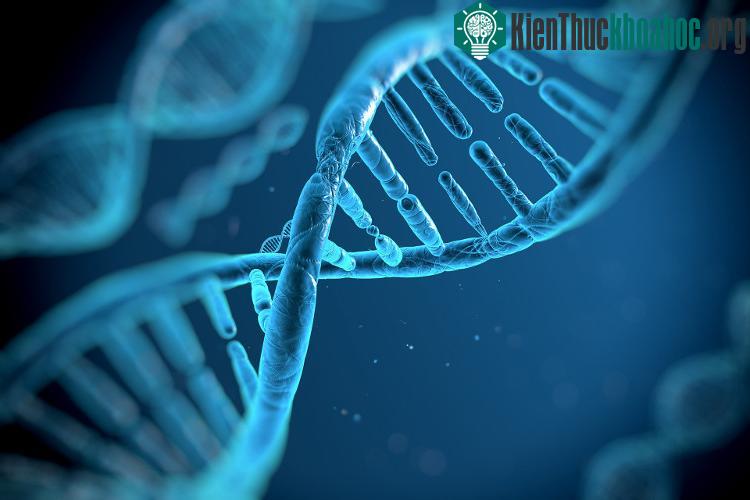 Hiện nay quá trình điều trị HIV còn tùy thuộc vào thuốc Antiretroviral hay còn gọi là ART. (Ảnh minh họa).