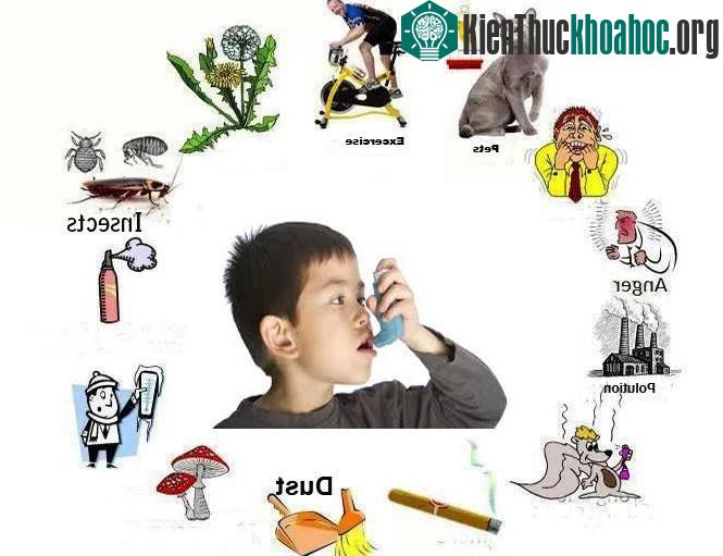 Các yếu tố làm khởi phát cơn hen ở trẻ. (Ảnh: imh).