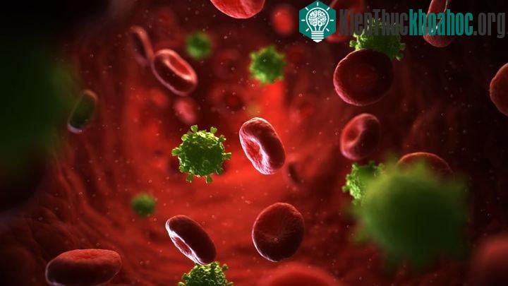 Virus HIV.