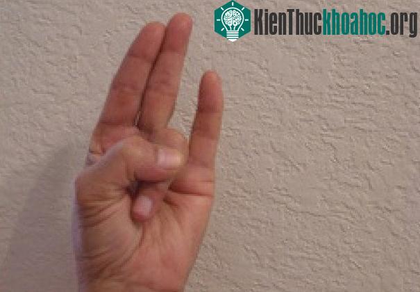 Surya mudra