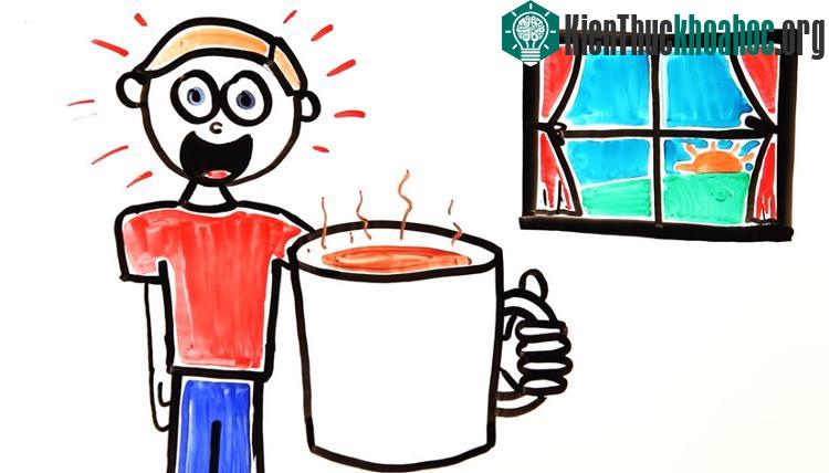 Tiếp xúc với ánh sáng là một phần quan trọng của việc thức giấc.