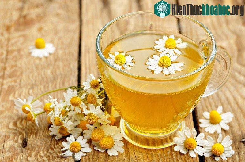 Trà hoa cúc mát sẽ giúp bạn dễ ngủ hơn. (Ảnh: Blogspot).