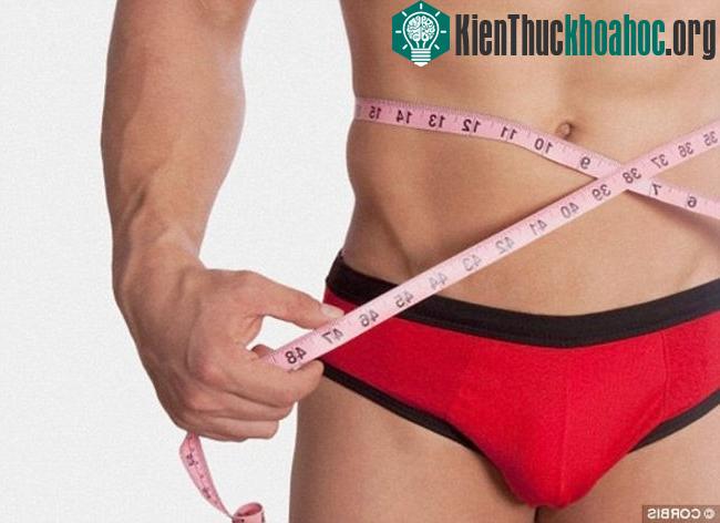 Kích thước của "cậu nhỏ" đóng vai trò quan trọng trong việc quyết định giá trị hấp dẫn của người đàn ông đó
