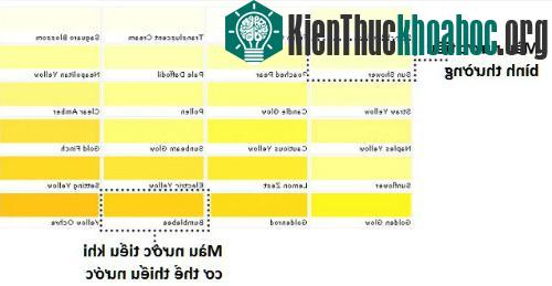 Uống quá nhiều nước khiến các chất điện phân trong cơ thể sẽ bị ảnh hưởng. (Ảnh: Jennifer Chalet).