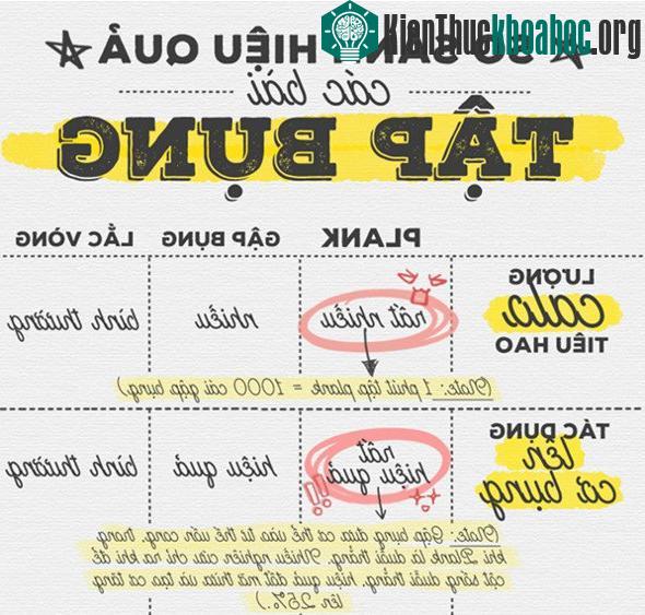 1 phút tập plank bằng 1000 cái gập bụng, ngạc nhiên chưa?