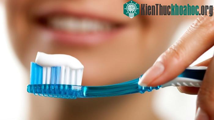 Sau một thời gian sợi bàn chải đánh sẽ sờn và không đủ khỏe để làm sạch mảng bám răng.