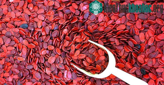 Không nên chọn hạt dưa có phết dầu lên vỏ bóng nhẵn