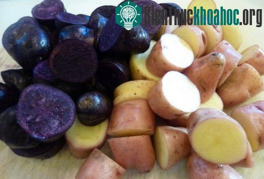 Khoai tây thua xa khoai lang tím về mức độ dinh dưỡng và công dụng.
