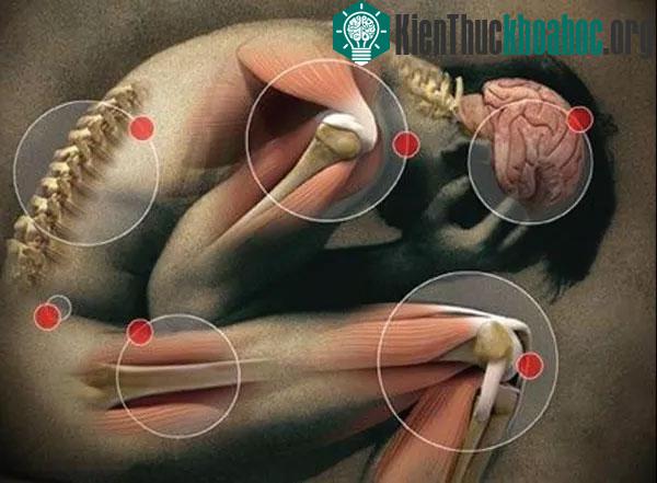 Đi tìm cơn đau tồi tệ nhất con người có thể chịu đựng