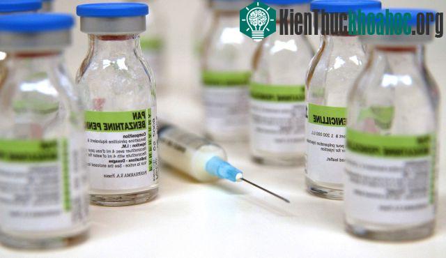 Không lâu sau khi Penicillin ra đời, những con vi khuẩn đầu tiên kháng lại kháng sinh cũng ra đời theo.