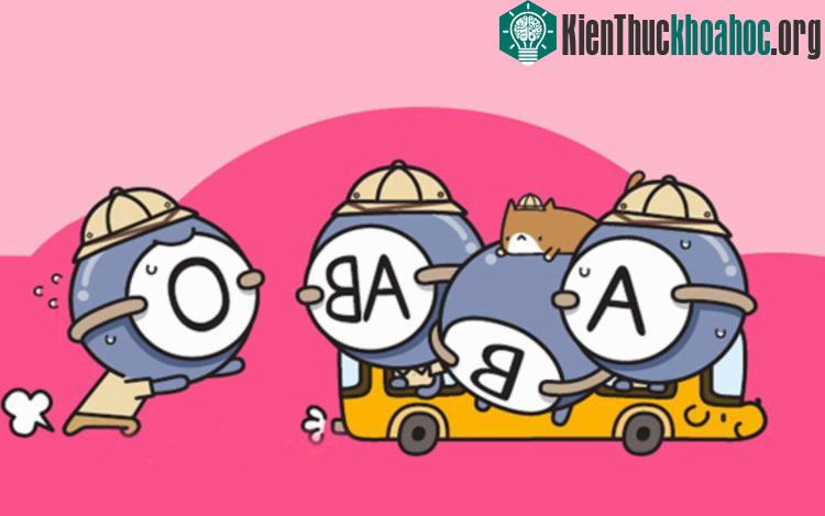 Nhóm máu có thể dự đoán được tính cách con người?