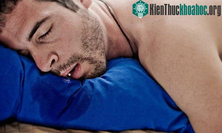 Bất cứ lúc nào, bất cứ đâu - cứ ngủ là chảy nước miếng!