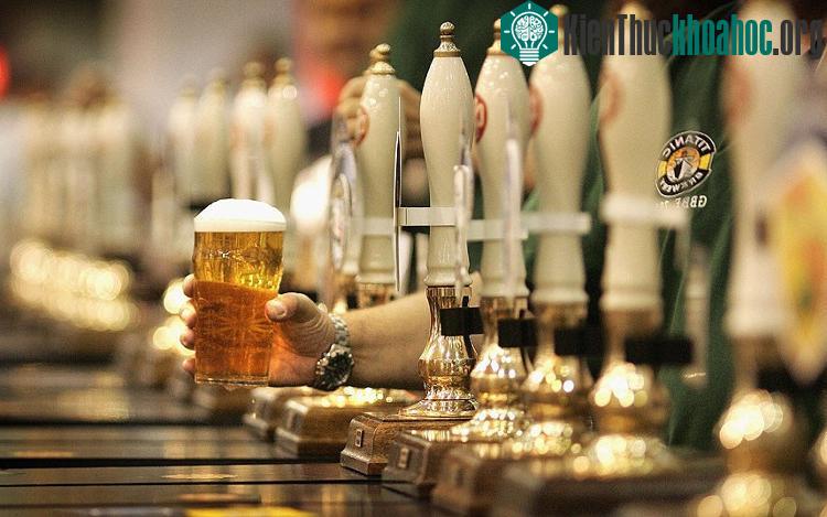 Người tiêu thụ rượu vừa phải gặp ít rủi ro hơn người không uống rượu và người nghiện rượu nặng.