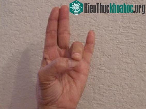 Prithvi mudra