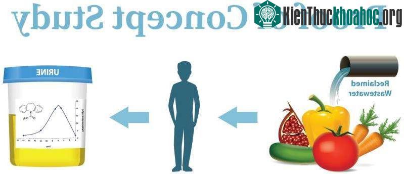 Ý tưởng của nghiên cứu được trình bày trong báo cáo.