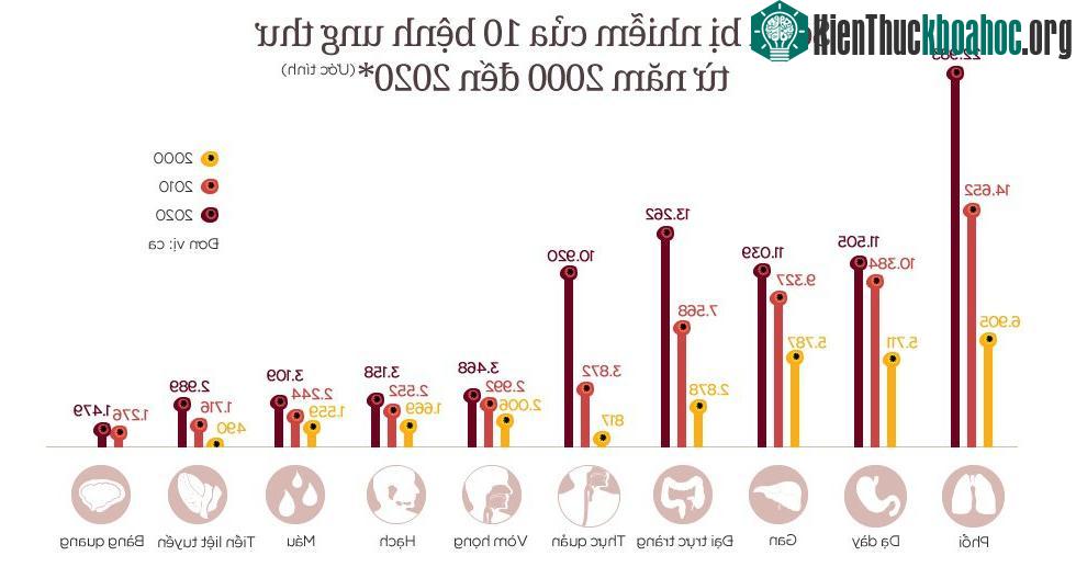 Số ca nhiễm của 10 bệnh ung thư