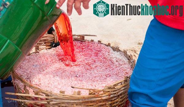 Một người dân Phú Yên đang nhuộm ruốc bằng Rhodamine. (Ảnh: P.H).