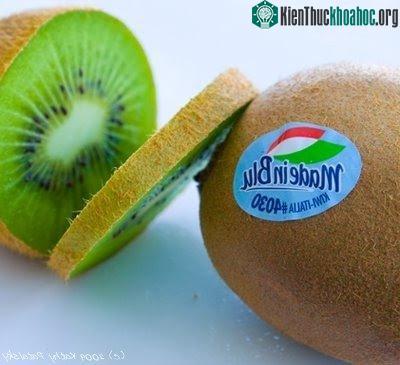 Mã code trên quả kiwi nhập khẩu này nghĩa là gì?