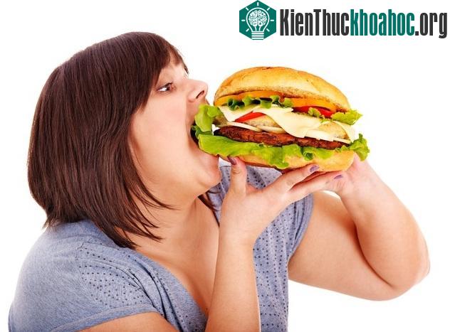 Bánh mỳ có hàm lượng tinh bột lớn, làm tăng nguy cơ béo phì.